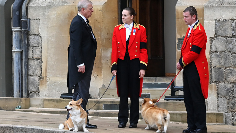 Prince Andrew with corgis at Queen Elizabeth's funeral