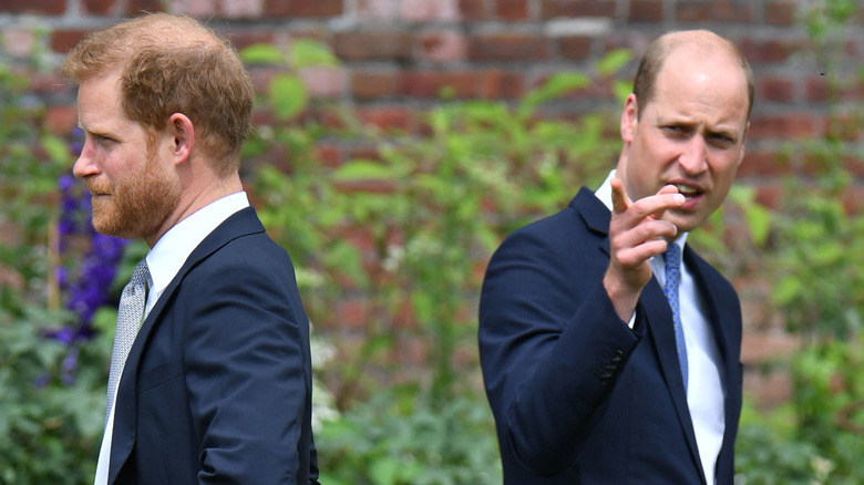 Prince William and Prince Harry