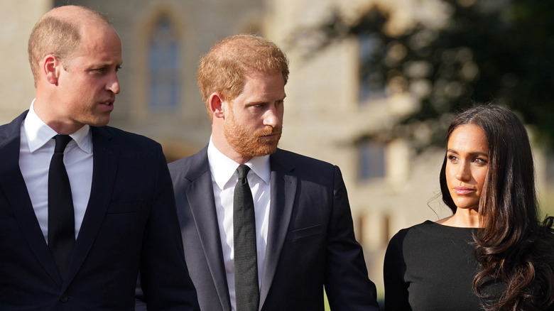 Prince William, Prince Harry, Meghan