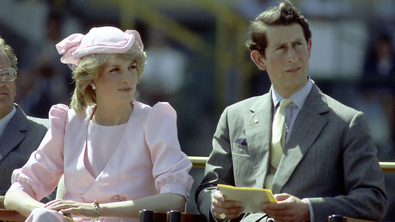 Young King Charles and Princess Diana sitting