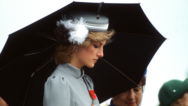 Princess Diana in gray