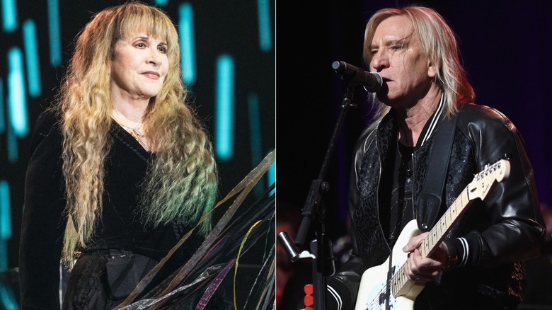 Left: Stevie Nicks onstage, Right: Joe Walsh singing and playing guitar