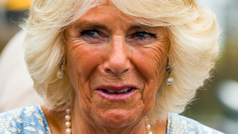 Strange Facts About Camilla Parker Bowles