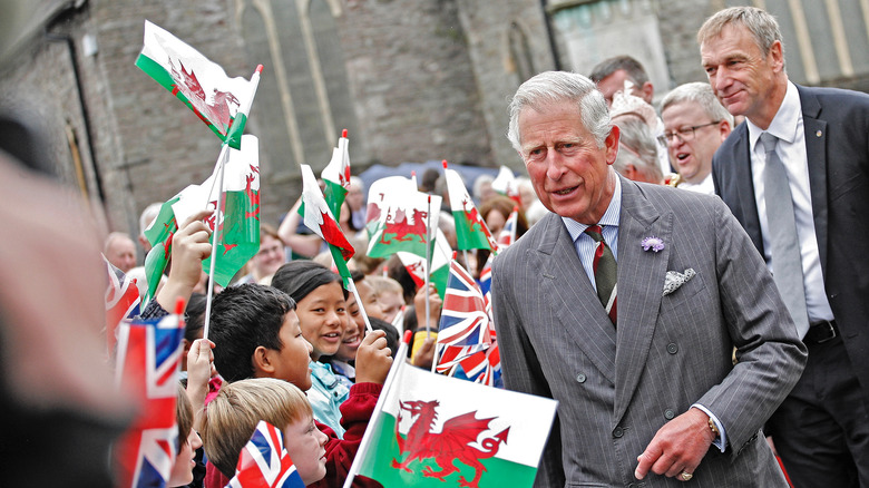 Prince Charles with crowds 