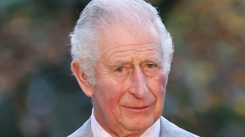 Prince Charles posing 