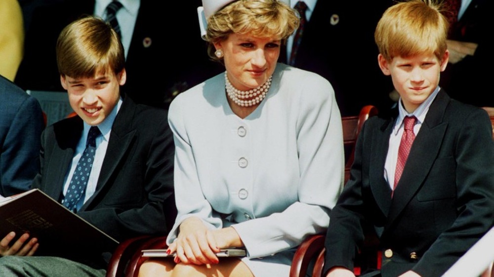 Prince William, Prince Harry, and Princess Diana