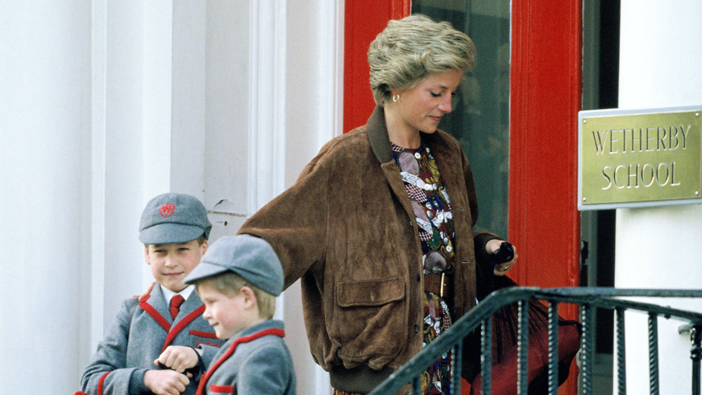 Princess Diana, Prince William, and Prince Harry