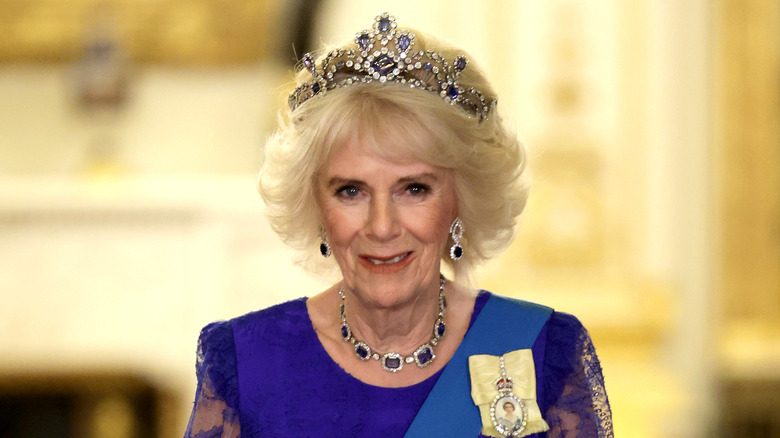 Queen Camilla at a state banquet