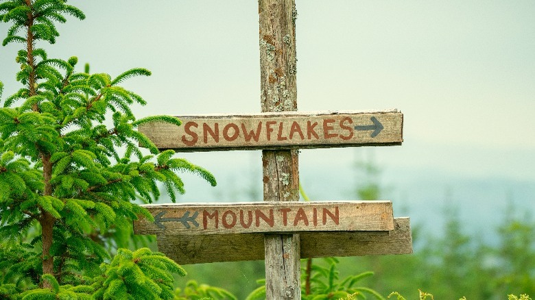 Exterior of the "Snowflake Mountain" camp