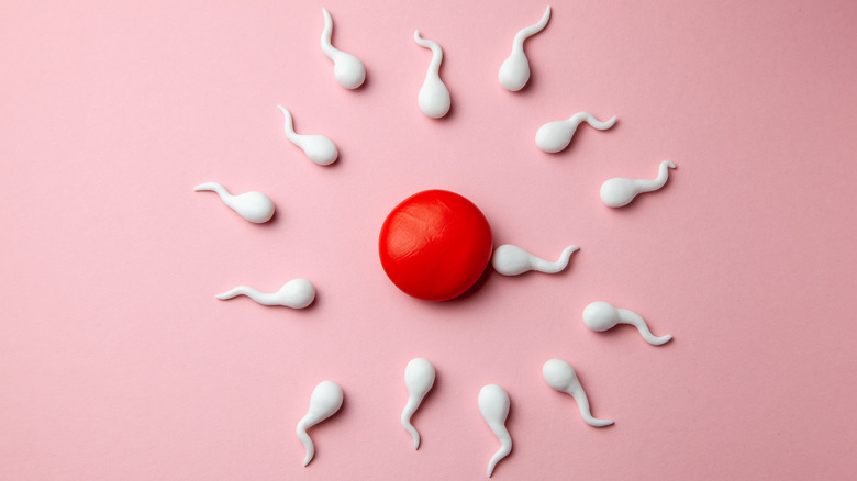 dramatization of sperm swimming to egg