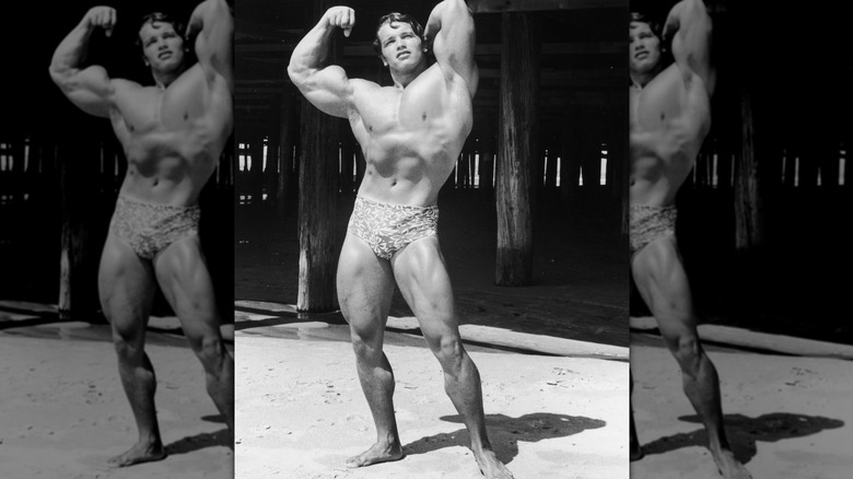 Arnold Schwarzenegger flexing