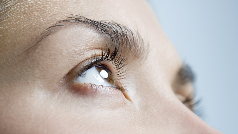 Close up of woman's eyes