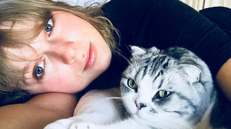 Taylor Swift selfie with cat