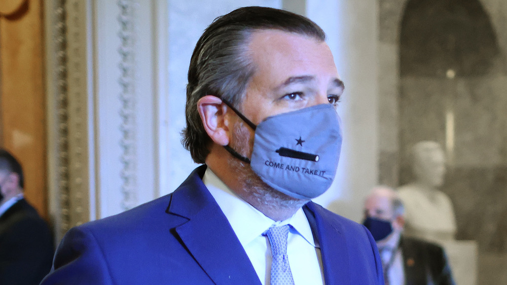 Ted Cruz wearing gray mask