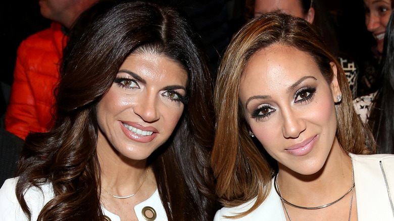 Teresa Giudice And Melissa Gorgas Feud Explained 