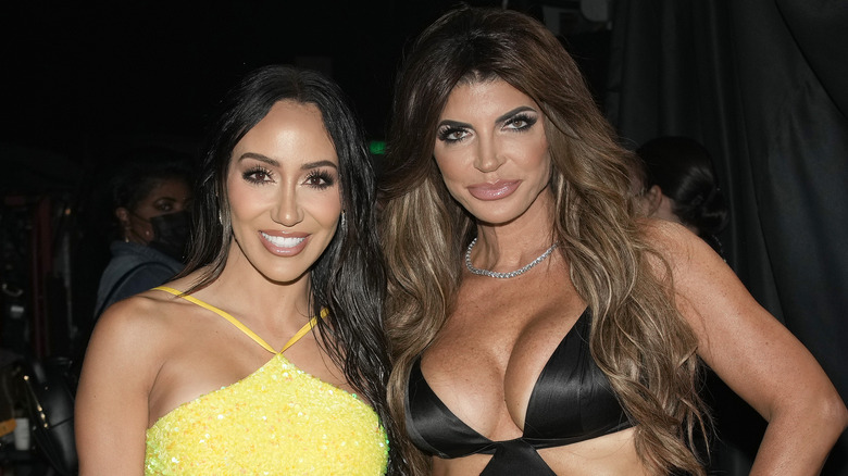 Teresa Giudice and Melissa Gorga smiling