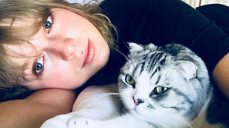 Taylor Swift selfie with cat Meredith Grey