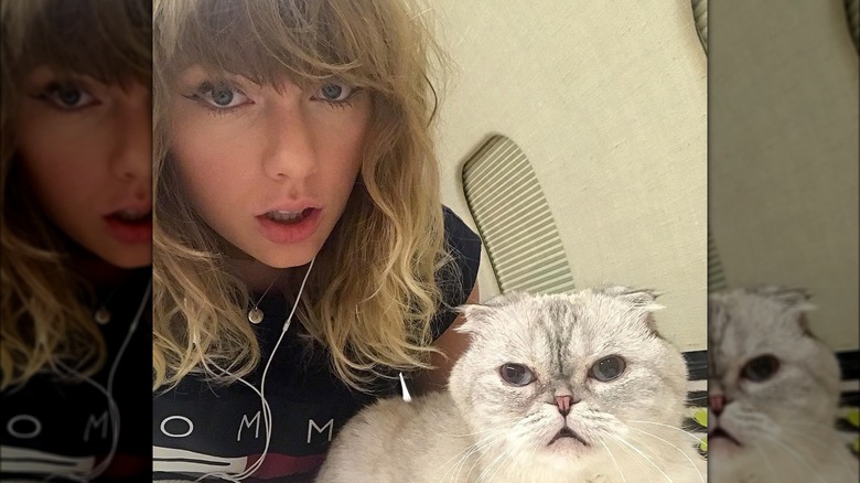 Taylor Swift's selfie with her cat Olivia Benson