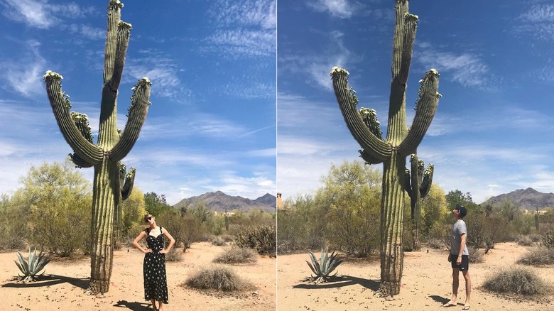 Taylor Swift standing in front of a large cactus & Joe Alwyn standing in front of a large cactus