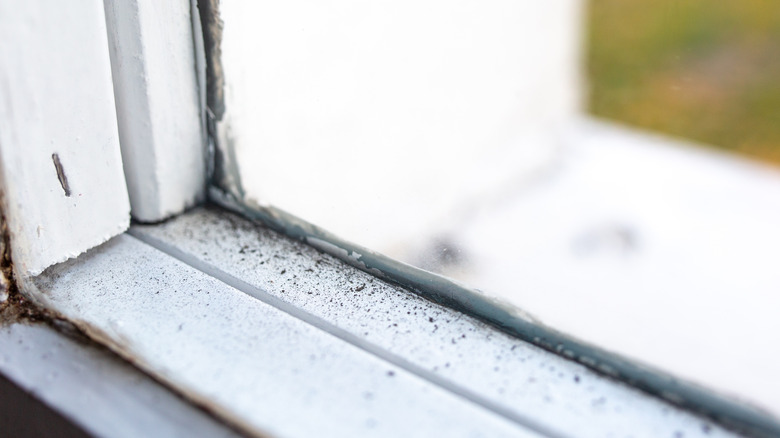 Old window with lead paint