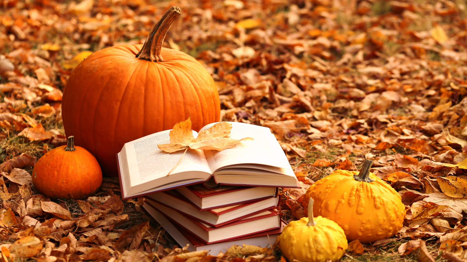 The 5 Best Books To Read During Spooky Season