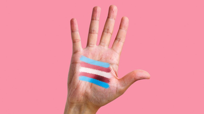 a hand with the trans flag