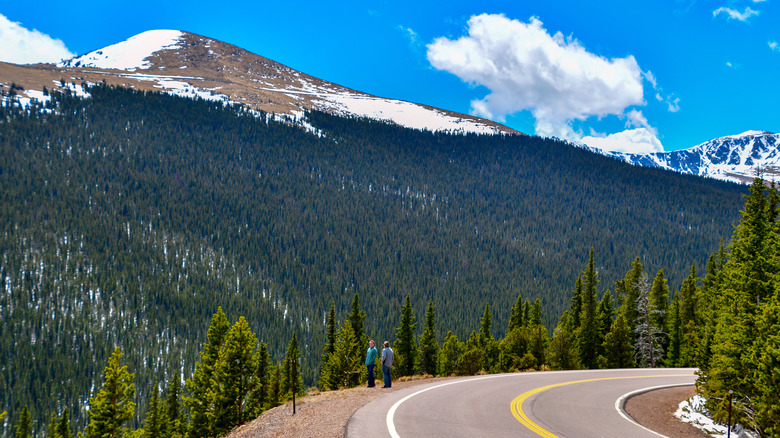 Curved road at the byway