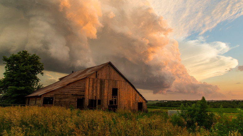 Iowa barn at sunset