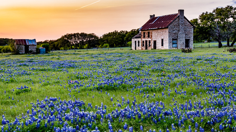 Old Rock Homestead in Texas