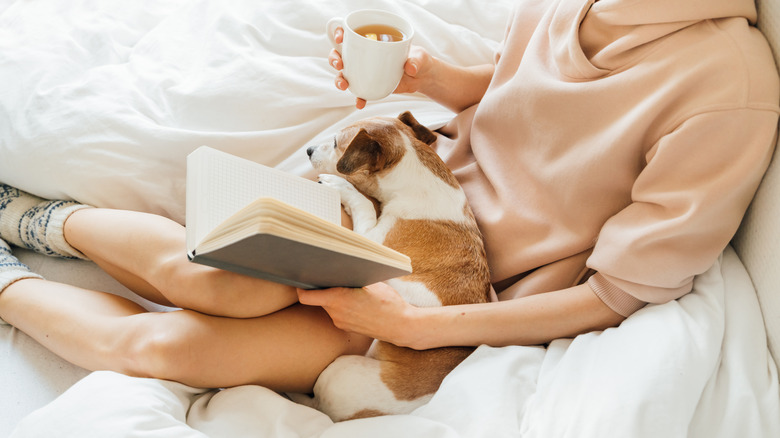 Woman in bed reading