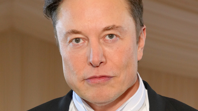 Elon Musk in 2022