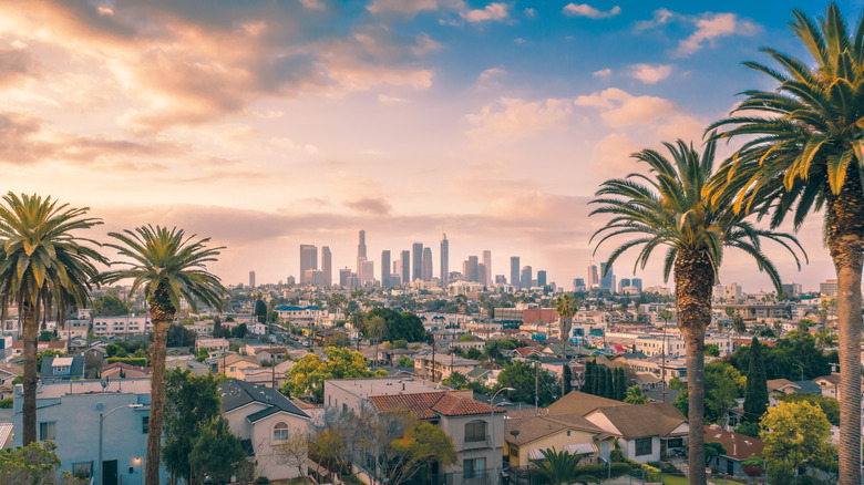 L.A. city view with palm trees