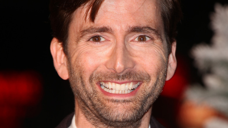 David Tennant on the red carpet 