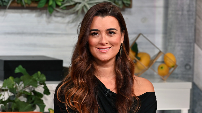 Cote De Pablo smiling