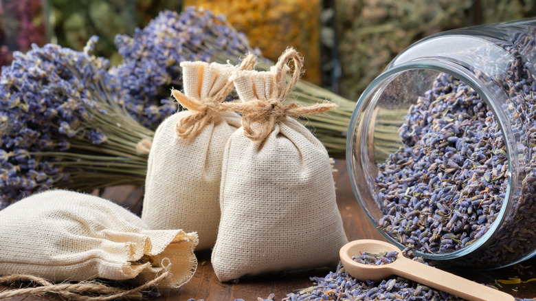 Dried lavender in bags and jar