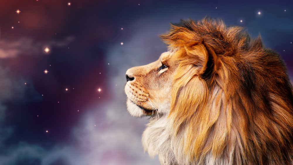 A lion in front of a starry sky 