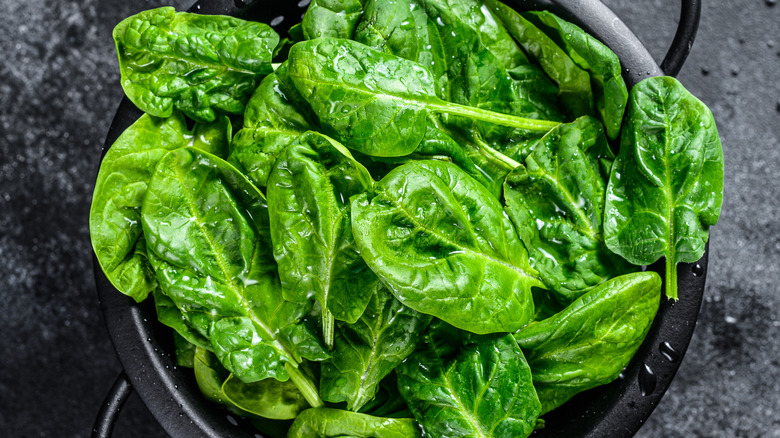 Bowl of fresh spinach