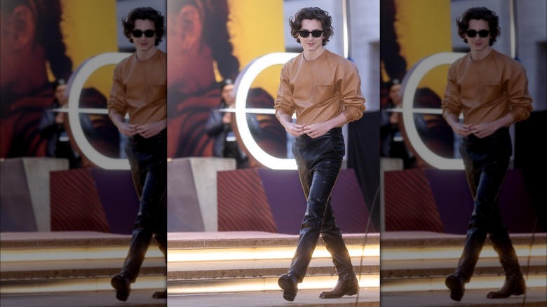 Timothée Chalamet walking down the street 