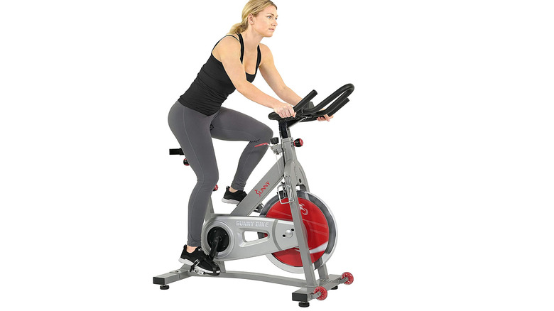 sunny health indoor fitness bike