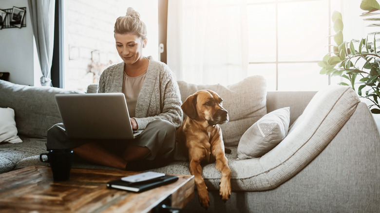 Business woman working from home on her laptop