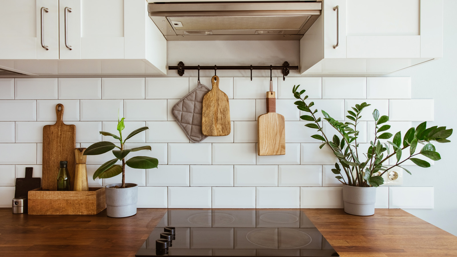 The Best Plants for Your Kitchen