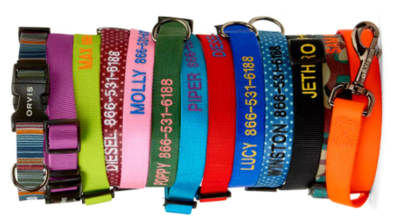 Personalized Side-Release Buckle Collar