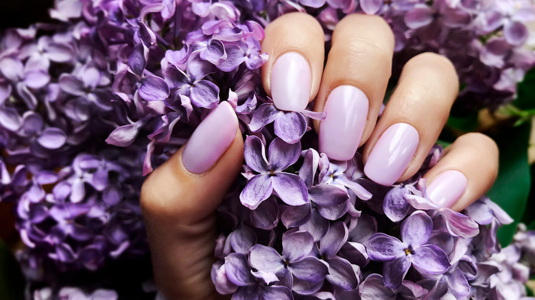 Hand with lilac nail polish