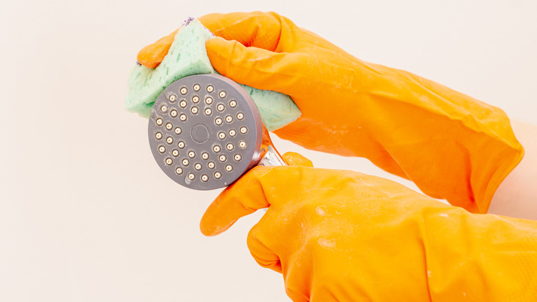 Sponge cleaning a shower head