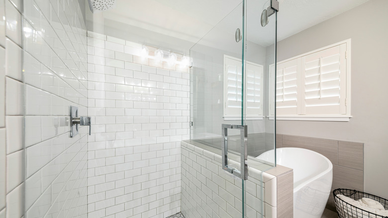 Glass shower door