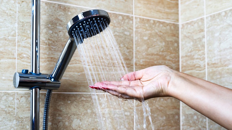 Hand under shower head spraying water