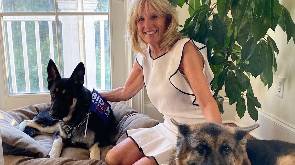 Joe Biden Jill Biden Dogs