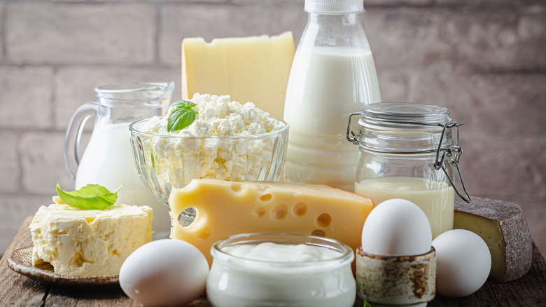 Milk and various dairy products