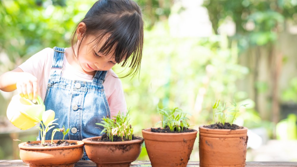 Girl watering plants