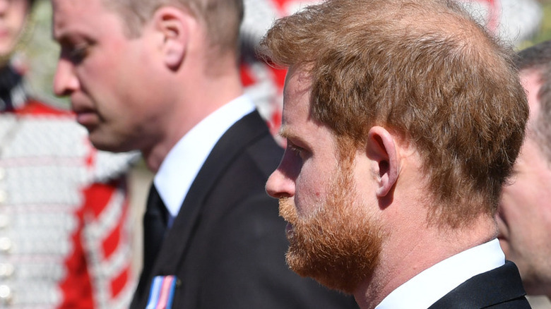 William and Harry funeral procession